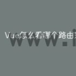 Vue怎么看哪个路由来的