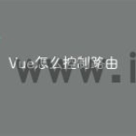 Vue怎么控制路由