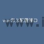 vue怎么配置接口