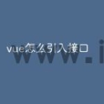 vue怎么引入接口