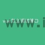 vue怎么调试接口