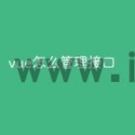 vue怎么管理接口