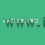 vue怎么接入接口