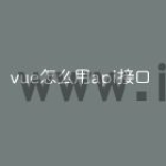 vue怎么用api接口
