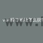 vue接口地址怎么获得