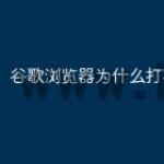 谷歌浏览器为什么打不开网页