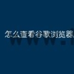 怎么查看谷歌浏览器版本