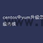 centos中yum升级怎么不升级内核