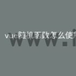 vue随机函数怎么使用