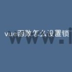 vue函数怎么设置锁