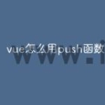 vue怎么用push函数