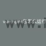 vue npm包怎么运行的