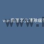 vue里面怎么清除缓存