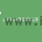 js filter参数怎么写