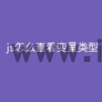 js怎么查看变量类型