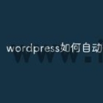 wordpress如何自动分页