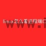 linux怎么看进程端口