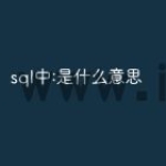 sql中:是什么意思