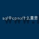 sql中cpno什么意思