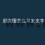 朋友圈怎么只发文字