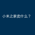 小米之家卖什么？