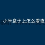 小米盒子上怎么看直播？