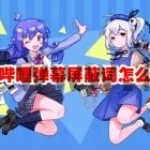 哔哩哔哩弹幕屏蔽词怎么设置 哔哩哔哩弹幕屏蔽词设置方法