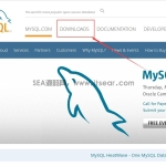 如何下载Windows 版本最新Mysq