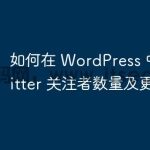 如何在 WordPress 中显示 Tw