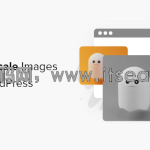 如何在 WordPress 中对图像进行