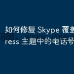 如何修复 Skype 覆盖 WordPr