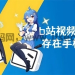 b站视频怎么保存在手机本地 b站视频保存在手机本地的方法