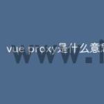 vue proxy是什么意思