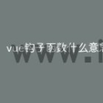 vue钩子函数什么意思