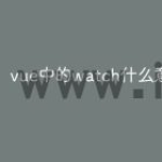 vue中的watch什么意思