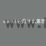 vue vlog是什么意思