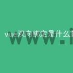 vue双向绑定是什么意思