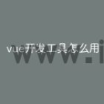 vue开发工具怎么用