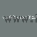 vue中的watch怎么用