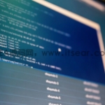 sql varchar什么意思